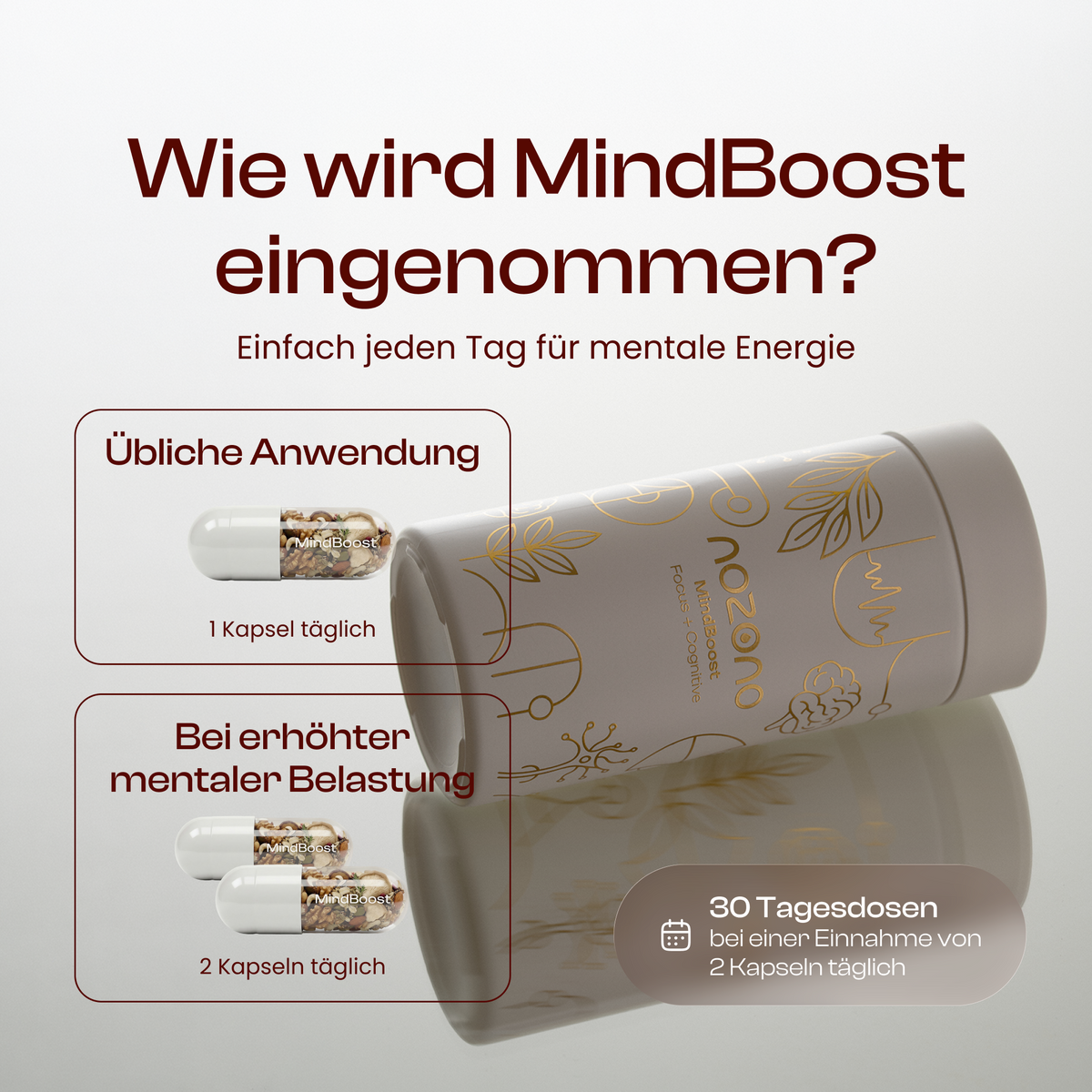 MindBoost