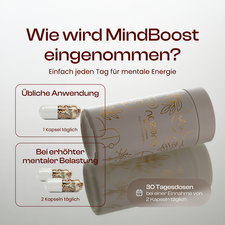 MindBoost