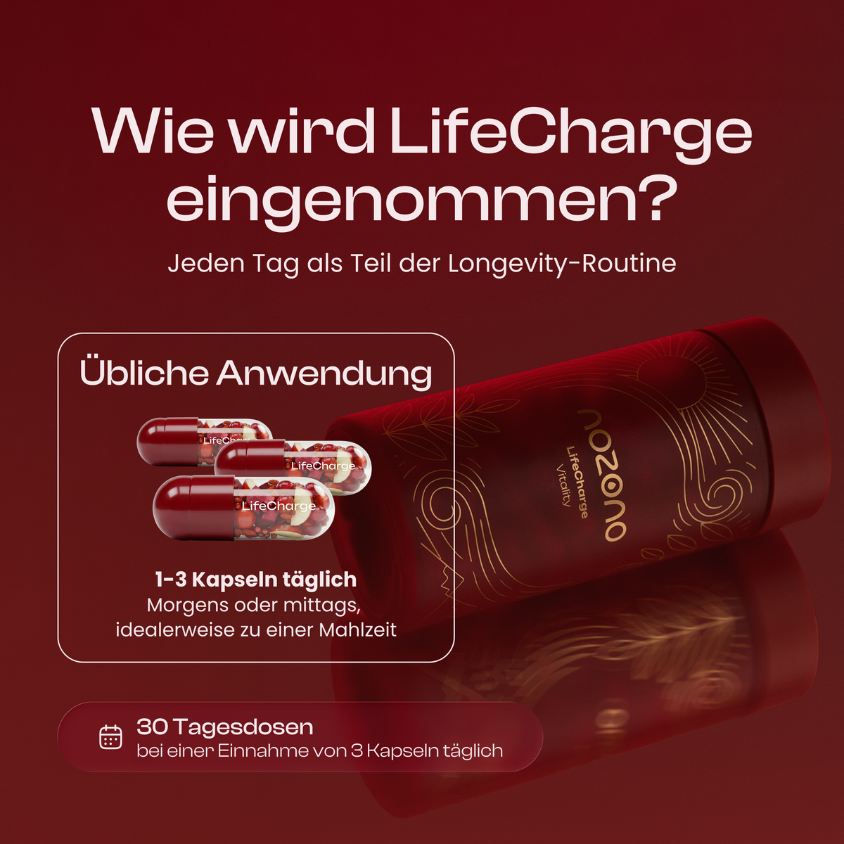 LifeCharge