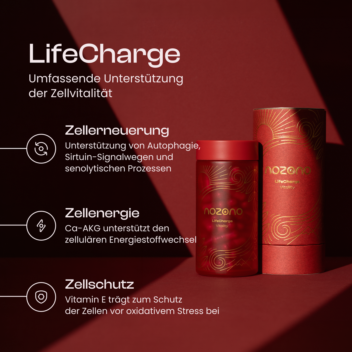 LifeCharge