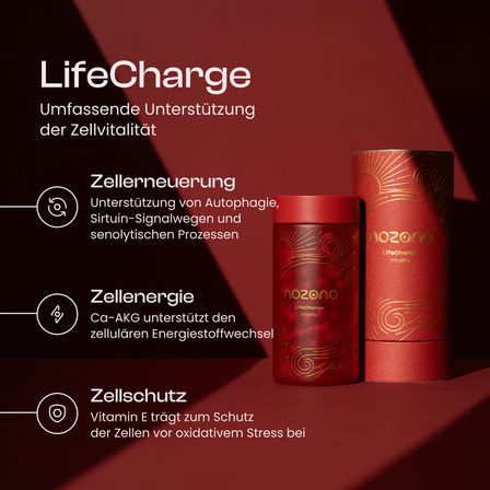 LifeCharge